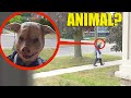 The Animal People (2023) Full Horror Movie (4K Ultra HD)