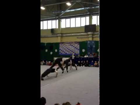 VIII International tournament of rhythmic gymnastics - Gala show "The Godfathers"