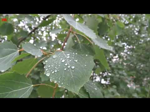 Natur im Monat Mai 2 (2024)