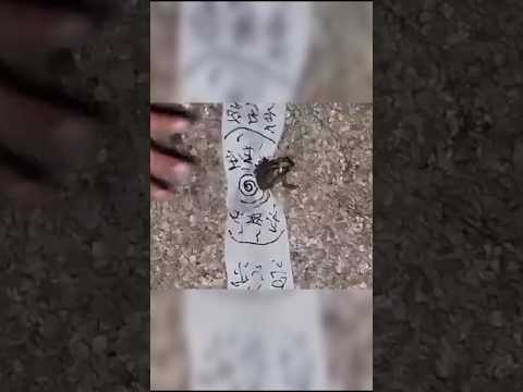 Naruto jutsu in real life #naruto #anime