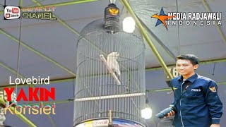 Download lagu Yakin Lovebird Konslet mp3