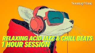 Feel the Flow of Relaxing Acid Jazz & Chill Beats | 1 Hour Session #relaxingbeats #chillbeats