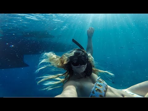 download lagu mp3 mp4 Avalon Croatia, download lagu Avalon Croatia gratis, unduh video klip Avalon Croatia