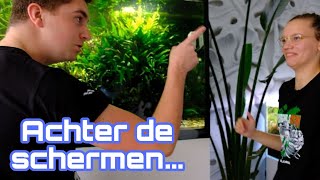Aan het werk bij de mooiste AQUARIUM GALLERIJ en HARDSCAPE uitzoeken! //Nickey//