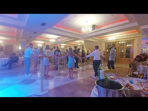 Borko Radivojevic VLASKA KOLA