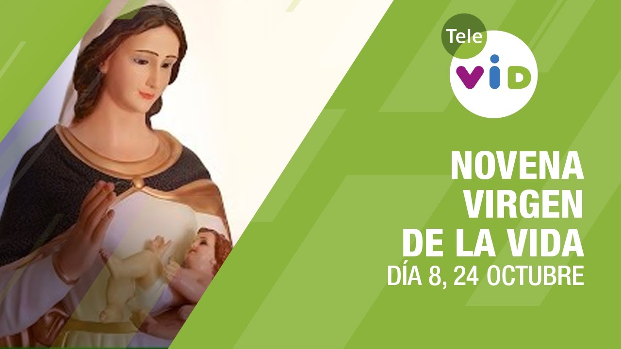 Novena a la Virgen de la Vida Día 8 🙏 24 de Octubre 2023 #TeleVID #VirgenDeLaVida