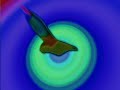 Discovery Channel 2004