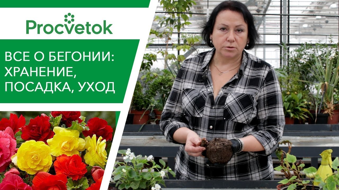Интернет Магазин Процветок В Минске
