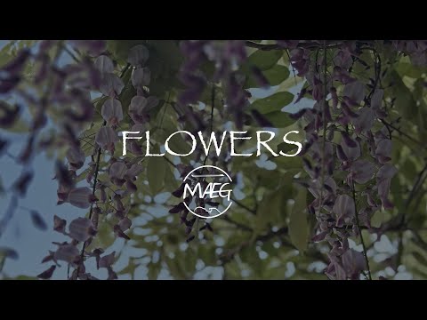MAEG | Flowers (Official Video)