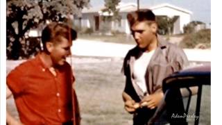 Elvis Presley - The Next Step is Love (tribute)