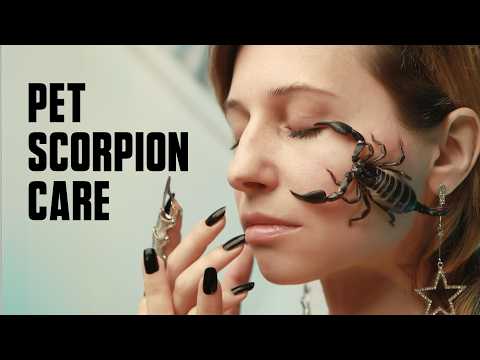 What Do Scorpions Eat – #6 Will Surprise You!
