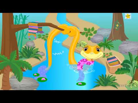 Starfall Down In The Jungle