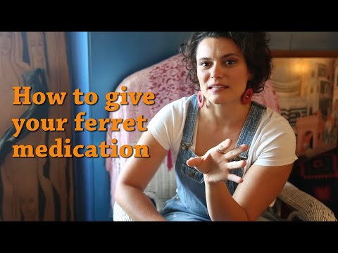 YouTube video about: Can you give a ferret benadryl?