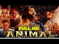 Animal Full Movie Hindi HD 2024 Animal Full Movie 2023 Ranbir Kapoor Rashmika Mandanna