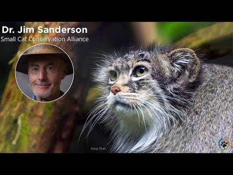 Small Cat Conservation Alliance · Dr. James Sanderson · Expo 2014