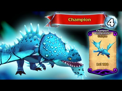 CHAMPION WINDGNASHER — Unique Brawler Dragon Max Level 180 Showcase | Dragons: Rise of Berk