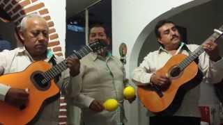 preview picture of video 'Trío en Cuernavaca-Renovación Las Mañanitas y Grupos en Morelos  y DF'