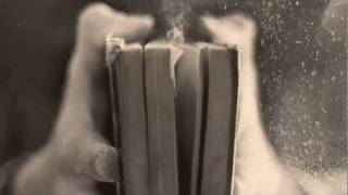 In The Shadow of The Sun