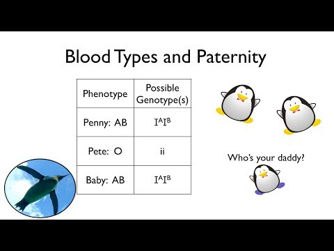 Blood Types and Paternity | Bio Basics 🐧