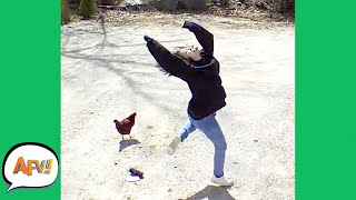 faze tari cazaturi