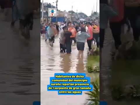 Inundado el barrio Negro Primero de San Francisco por desbordamiento de cañada. #zulia