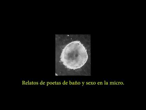 Alejandro Fu Manchu - Pájaro sin alas