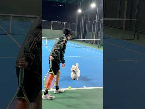 The cutest ball boy ever 🎾🥹