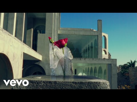 st. Pedro - Danzón (Visualizer)