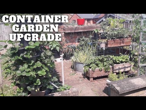 Container Garden Upgrade [Gardening Allotment UK] [Grow Vegetables At Home ]