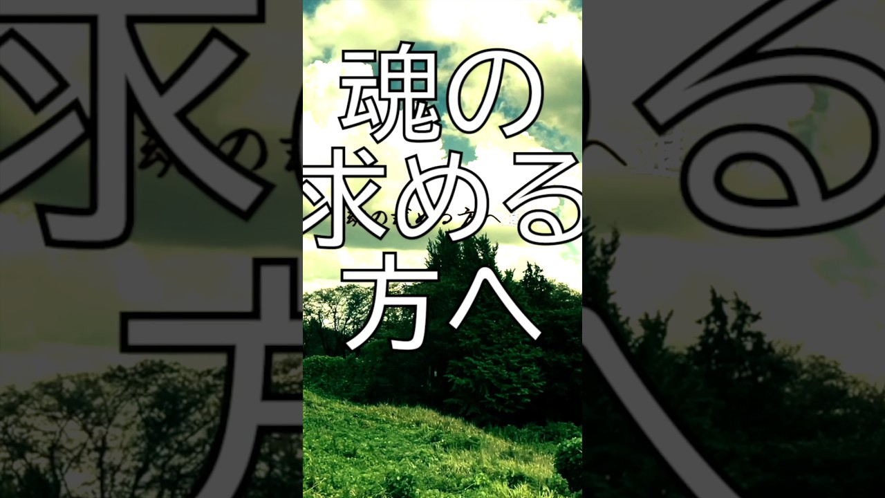 【魂の求める方へ】 #音楽 #邦ロック