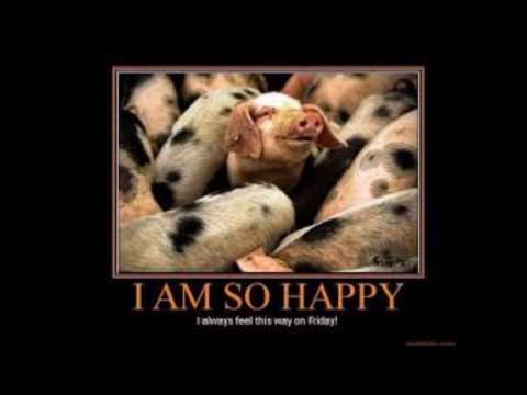 Than vui Sheet - Long Hoàng Lê