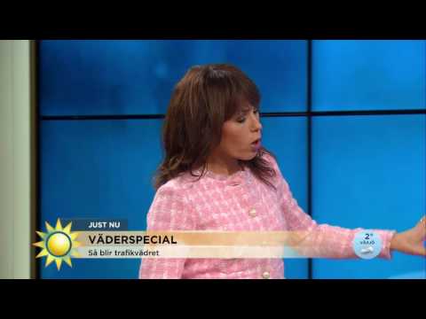 Så blir trafikvädret i jul - Nyhetsmorgon (TV4)