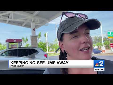 How to protect yourself from pesky 'Noseeums' swarming Southwest Florida