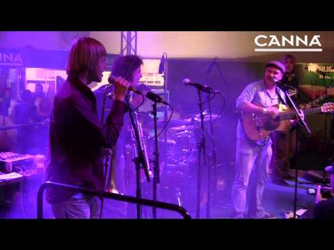 CCTV Allstars - Jesus (Skanking in the name of) @ Cannafest