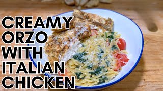 Creamy Orzo with Italian Seasoned Chicken Breast