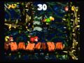 DKC2 Early Bonus Coin Glitch