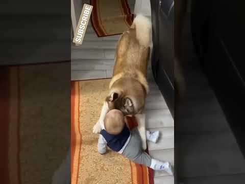 Sneyha, Arbin & Javan Fun Playing With Real Fish in Inflatable Swimming pool - Cute Sneyha's Show