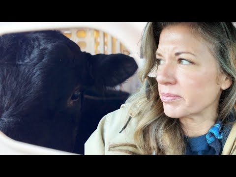 Saying Bye Bye to BB 😢