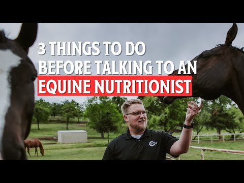 3 Things to Do Before Talking to an Equine Nutritionist