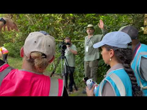 Introducing Limelight: Team Waponi’s XPRIZE Rainforest Semifinals TechnologyLimelight is Team Waponi’s XPRIZE rainforest platform for biodiv...