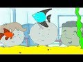 Caillou 409 Caillou של אנטארקטיקה ים עמוק Caillou Caillou ב Bayou