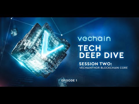 VeChain's Tech Deep Dive Series - Session 2, Episode 1: Introduction to MPP and Its Implementation