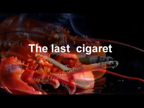 den sidste smøg