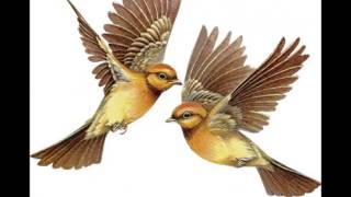 BESAME MUCHO - NATALIE COLE &amp; ANDREA BOCELLI