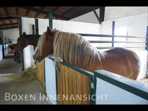 Pferdeparadies Freienhagen - Impressionen Pferdeboxen