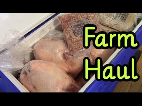 download lagu mp3 mp4 Local Meat Csa, download lagu Local Meat Csa gratis, unduh video klip Local Meat Csa