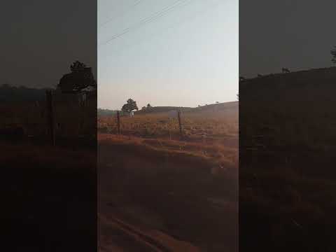 Conceição do Araguaia, estrada em direção a Floresta do Araguaia...