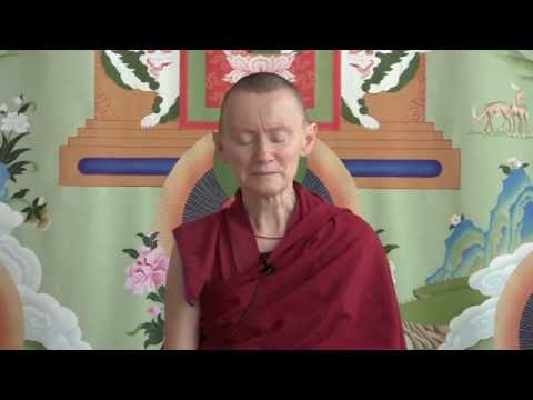 05-07-13 The Tourist And The Buffalo - BBCorner