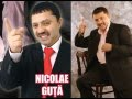 NICOLAE GUTA Merge Bine Afacerea
