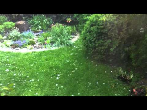 Toča v Mozirju / Hailstorm in Mozirje